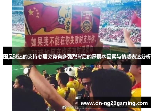 国足球迷的支持心理究竟有多强烈背后的深层次因素与情感表达分析