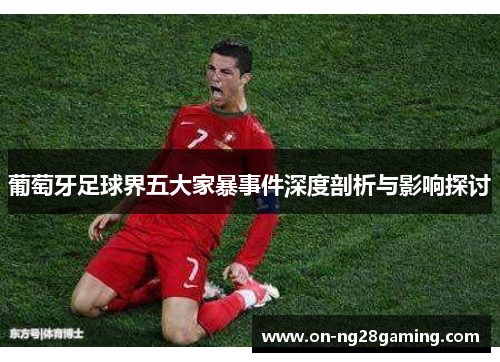 葡萄牙足球界五大家暴事件深度剖析与影响探讨