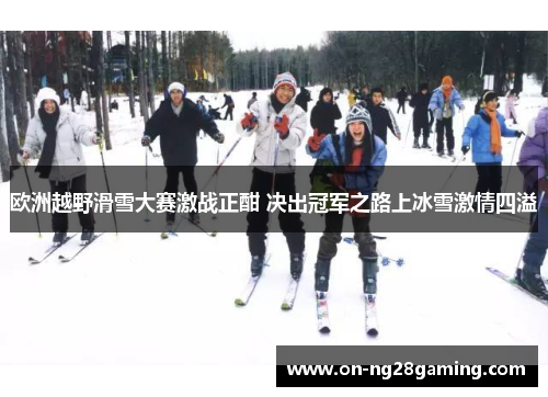 欧洲越野滑雪大赛激战正酣 决出冠军之路上冰雪激情四溢